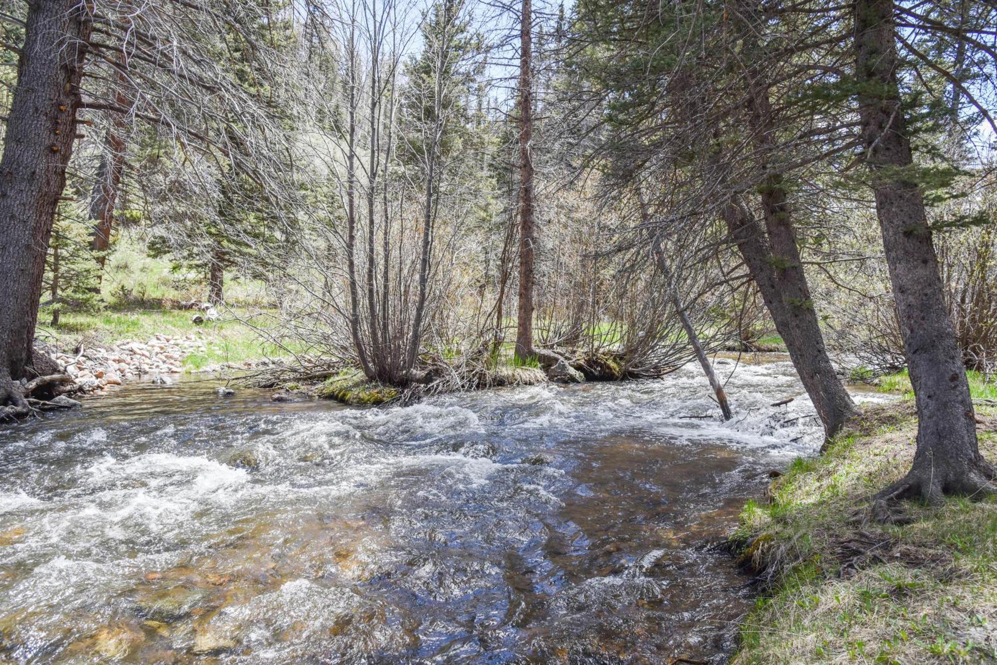 Bear Bait Cabin In Upper Valley With High Speed Wifi Red River Exterior photo